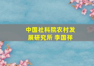 中国社科院农村发展研究所 李国祥